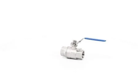 H12 Non-Return Check Valve Stainless Steel 304 316 Vertical Spring Check Valve 1000wog